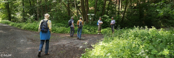 Männer wandern